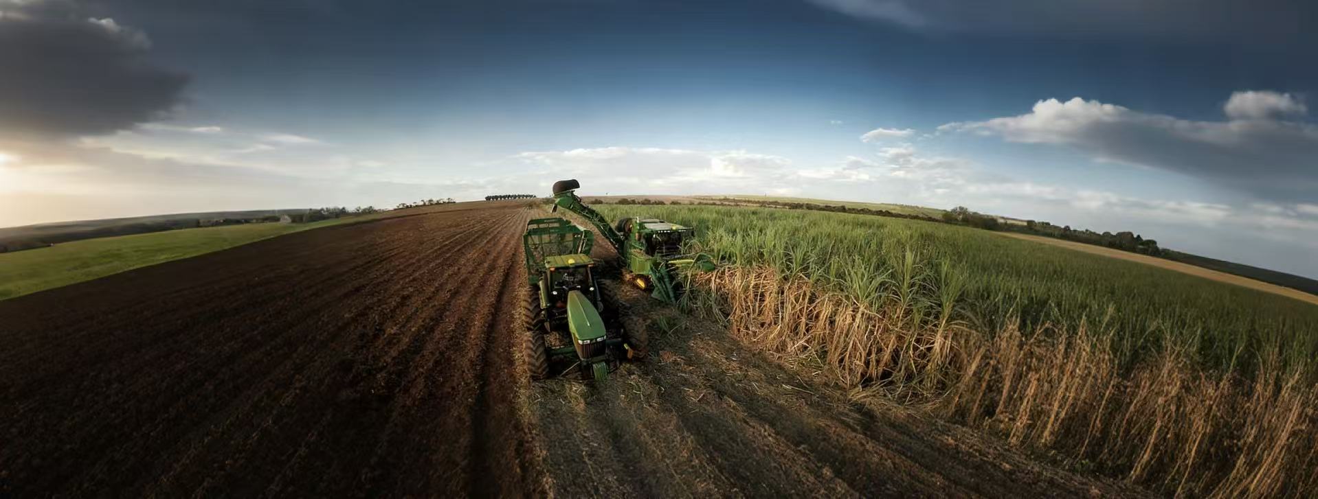 d762eecc29cce80fc0ed0af28815d5d9